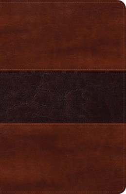 Biblia Peshitta-Semi Piel