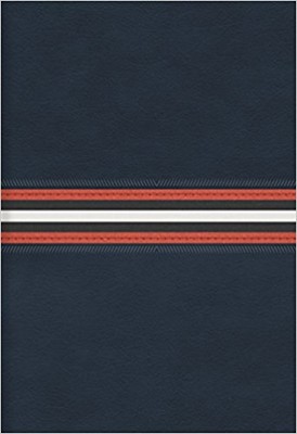 Biblia RVRLGZ Manual Ref Piel Azul