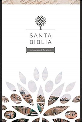 Santa Biblia RVR 1960 - Letra grande, imitación piel negra con imágenes de Tierra Santa