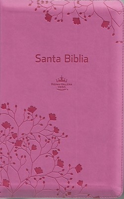 Biblia RVR60 Letra Grande Tamaño Manual