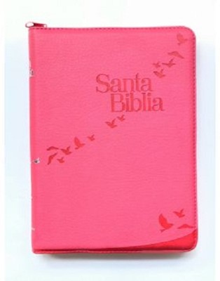 Biblia RVR085cZLGi Rosa Canto Plateado
