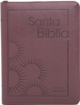 Biblia RVR1960 085cZTILGi