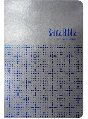 BIBLIA RVR065CLG ET GRIS
