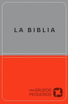 NBV Biblia Para Grupos Pequeños/Lujo