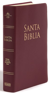 Biblia RVR60 LG Manual Vinil Vino 12p