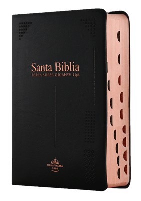 Biblia RVR60 42c Chica LG Vinil Negro Indice