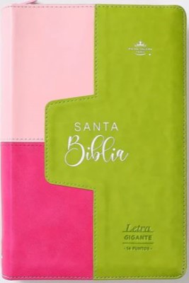 Biblia RVR60 068 czti Colección Iconic Fucsia/Rosa/Lima