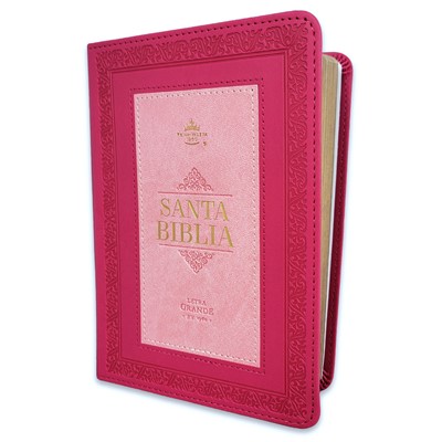 Biblia RVR1960 035C PJR FRAME ROSA/ROSA