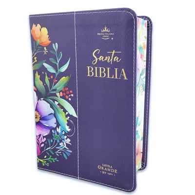 Biblia RVR60 Tamaño Manual Letra Grande con Canto Pintado