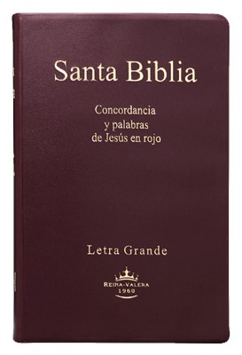 Biblia RVR062c LGJPR Vinil Vino