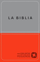 NBV Biblia Para Grupos Pequeños/Lujo (Rústico) [Biblia]