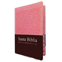 Biblia Compacta Letra Super Gigante RVR1960 (Simipiel) [Biblia]
