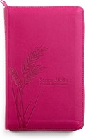 Biblia de Promesas RVR1960 Tamaño Manual (Simi Piel) [Biblia]