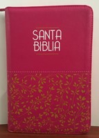 RVR 1960 Biblia de Letra Grande (Imitación Piel) [Biblia]