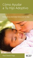 Cómo Ayudar A Tu Hijo Adoptivo (Rústica) [Mini Libro]