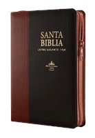 Biblia RVR60 Manual LSG 14 Pt Marrón Café (Simipiel) [Biblia]