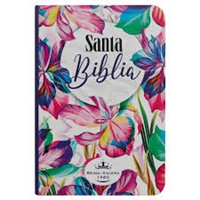 Biblia RVR60 Tamaño Mini Bolsillo (Vinil) [Libro]