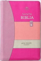 Biblia RVR60 068 czti Colección Iconic Lila/rosa/morado Tamaño Manual (Imitación Piel con Cierre) [Biblia]