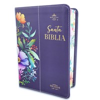 Biblia RVR60 Tamaño Manual Letra Grande con Canto Pintado (Imitación Piel) [Biblia Compacta]