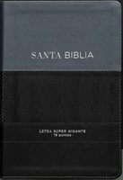 BIBLIA RVR60 088C LSGI NEGRO GEO (Imitación Piel) [Biblia]