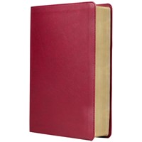 Biblia de Estudio Trasfondo Cultural RVR Imitación Piel (Simi Piel) [Biblia]