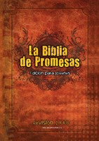 Biblia RVR Promesas Jovenes Hombres TD (Tapa Dura) [Biblia]