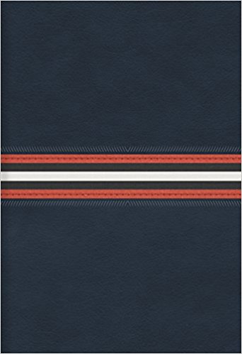 Biblia RVRLGZ Manual Ref Piel Azul