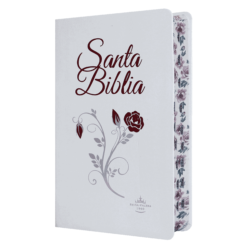 Biblia RVR066cLGPJR Piel Blanca