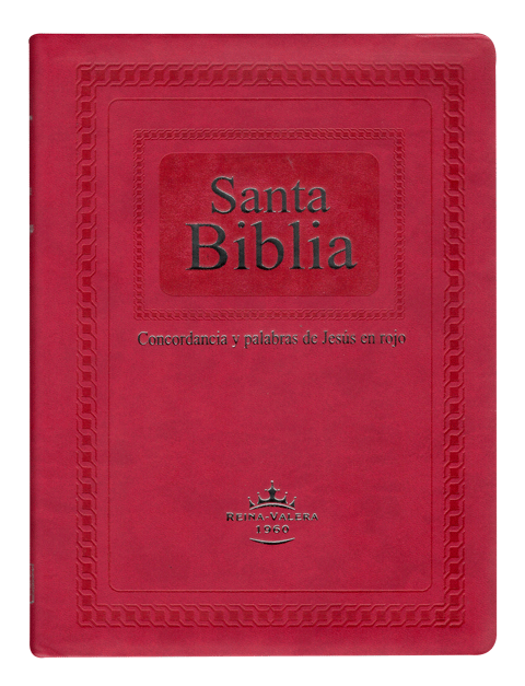 Biblia RVR086cLGPJR Purpura