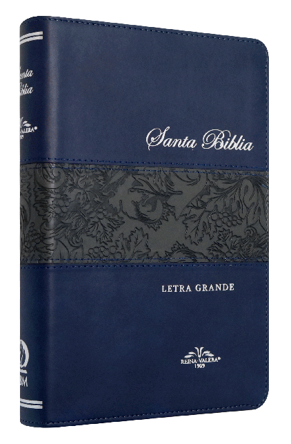 Biblia VR065LG 1909  Azul