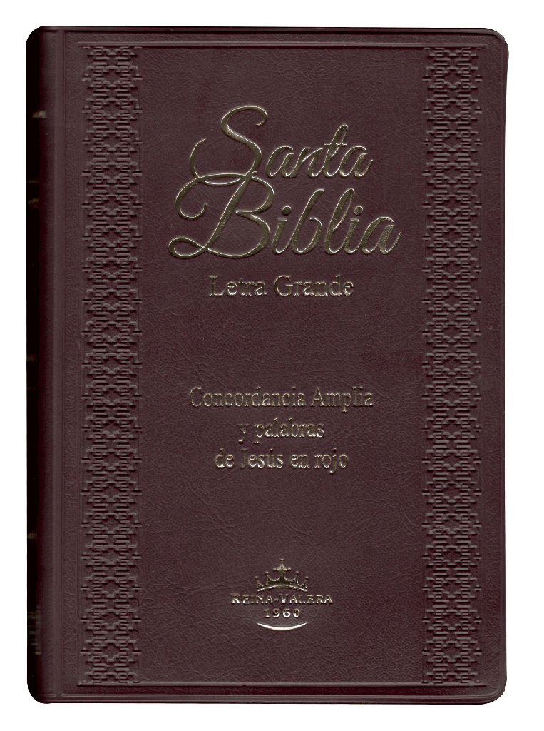 Biblia RVR1960 Letra Grande Concordancia Amplia