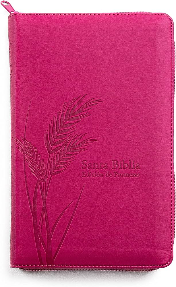 Biblia de Promesas RVR1960 Tamaño Manual