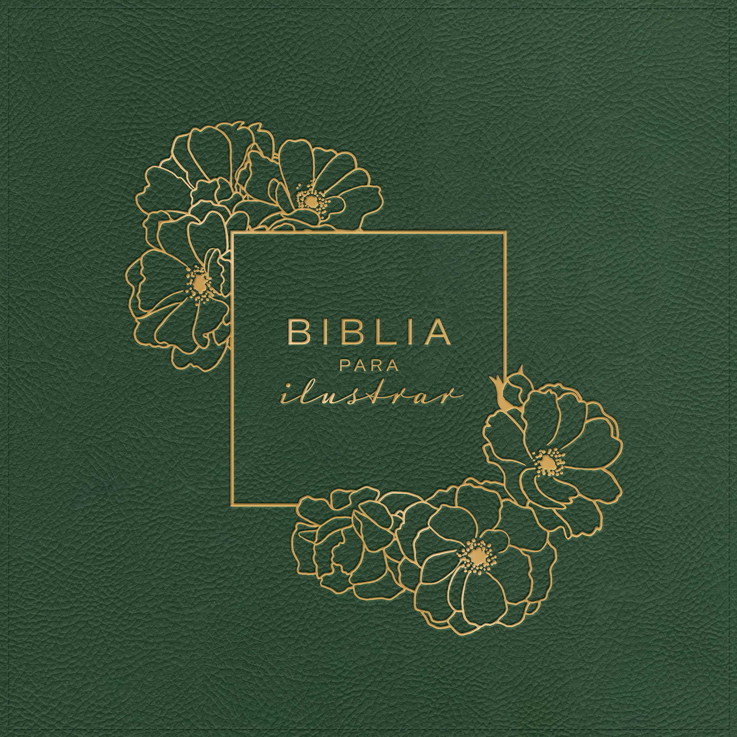 Reina Valera1960 Biblia para Ilustrar Verde