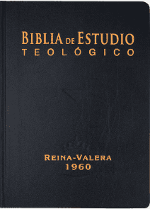 Biblia de Estudio Teológico TD