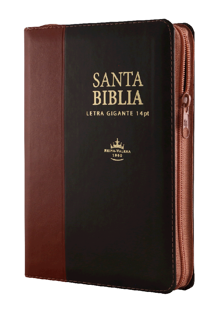 Biblia RVR60 Manual LSG 14 Pt Marrón Café