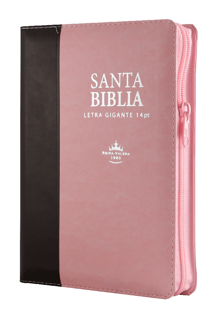 Biblia RVR60 Manual LSG 14 P Rosa Marrón