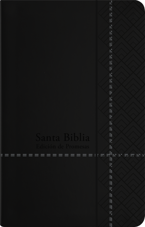 Biblia De Promesas RVR60 Manual Negra
