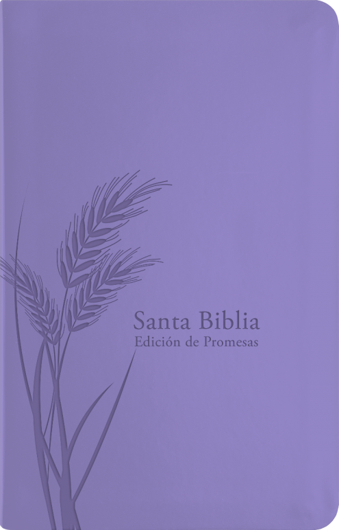 Biblia De Promesas RVR60 Manual Lavanda