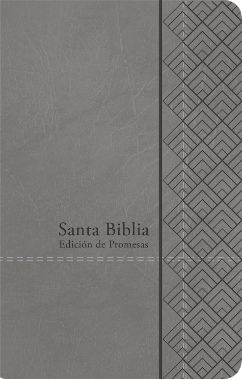 RVR 1960 Biblia de Promesas