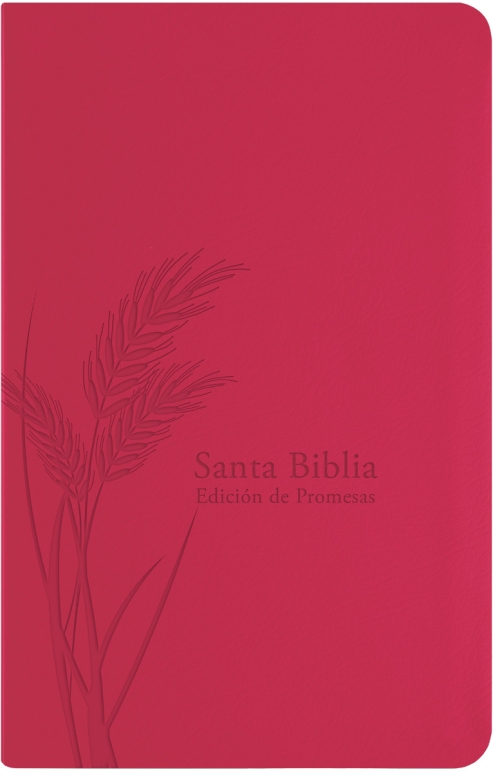 Biblia De Promesas RVR60 LG P Esp Fucsia