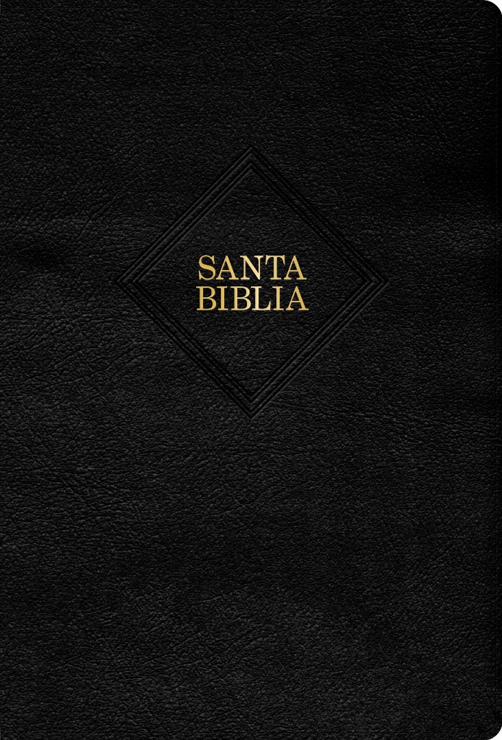 Biblia RVR60 LG Manual Piel Fab Negra