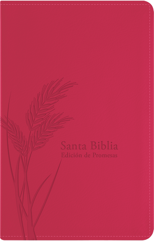 Biblia De Promesas Manual Fuchsia Índice