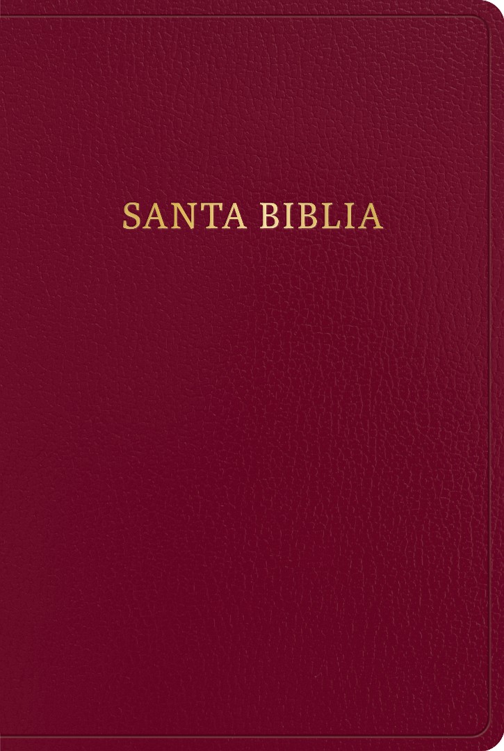 Biblia RVR60/ Letra Gigante/ Borgoña Imitacion Piel Ed.2023