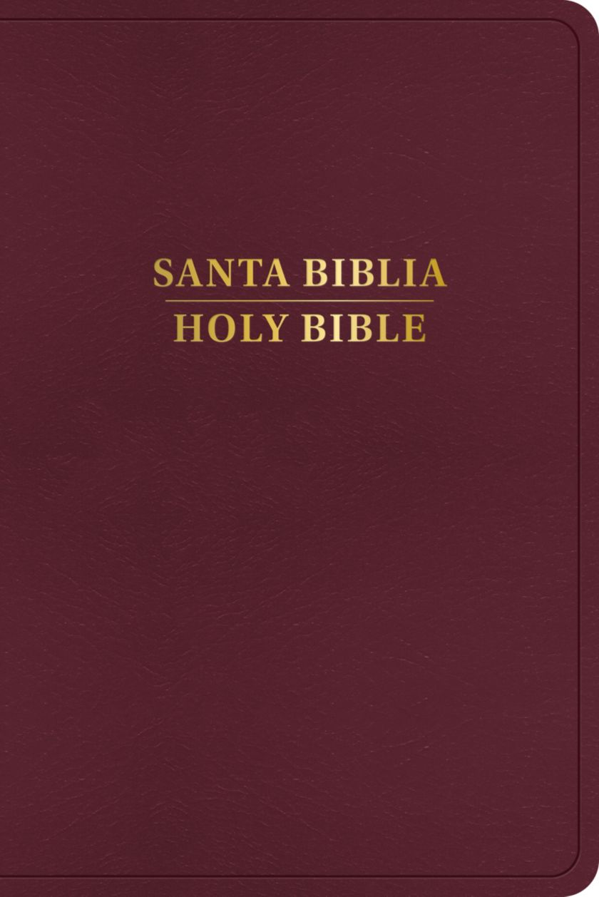 Biblia Bilingue 1960/KJV Borgoña Imitacion