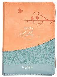 Biblia RVR60/045czti/LGi/PJR/Rosa/Azul Pájaros