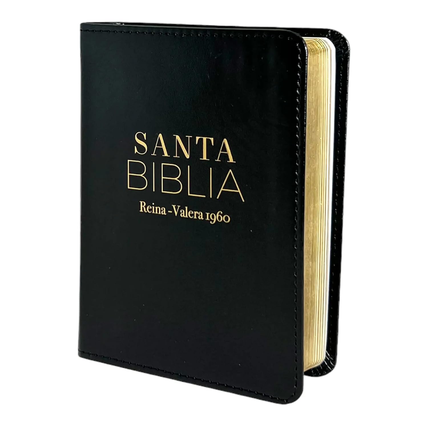 Biblia RVR60 025C PJR Clásica Negro