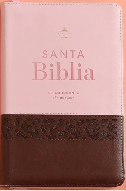 Biblia RVR60 068 CZTI LGI Café/Rosa Con Mariposas