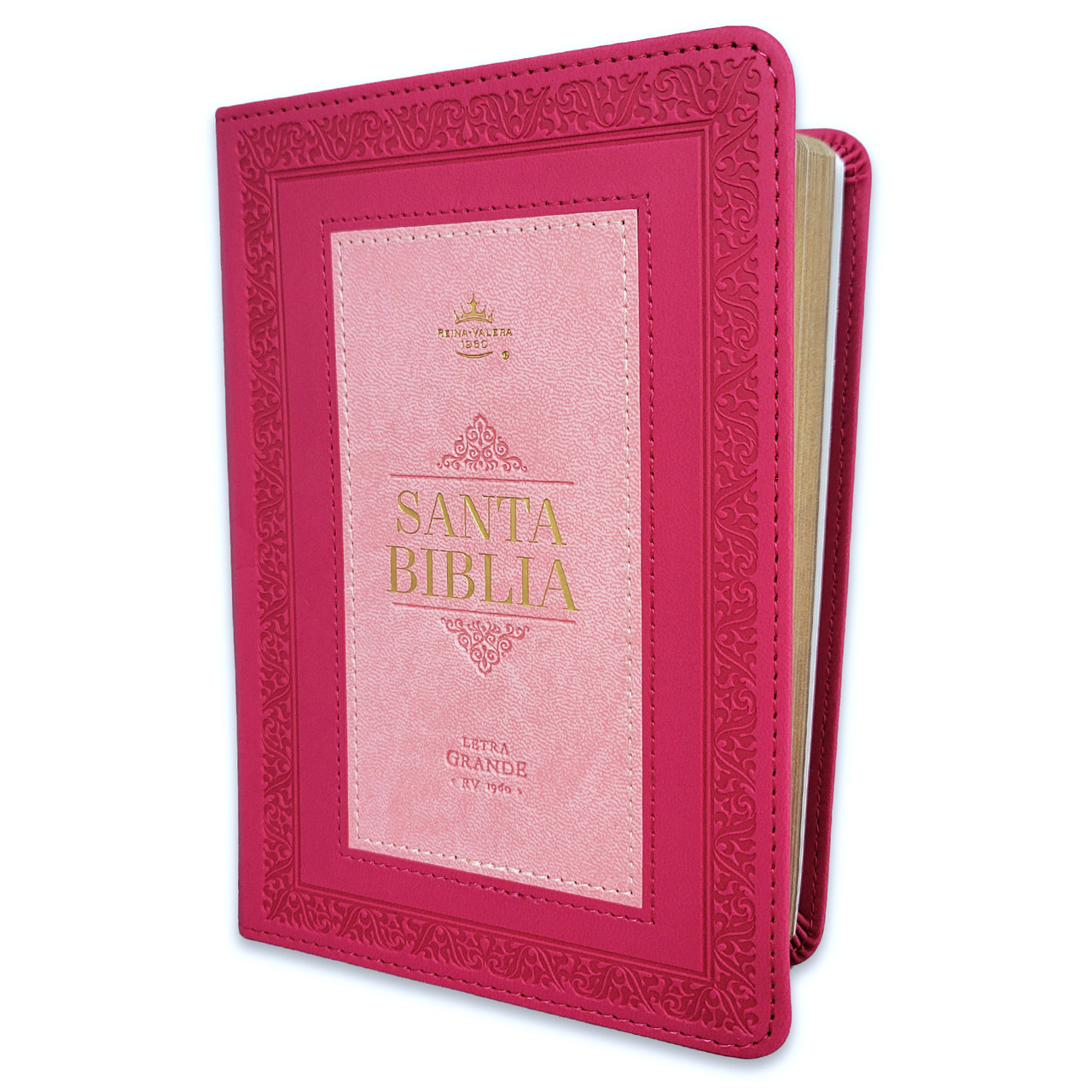 Biblia RVR1960 035C PJR FRAME ROSA/ROSA