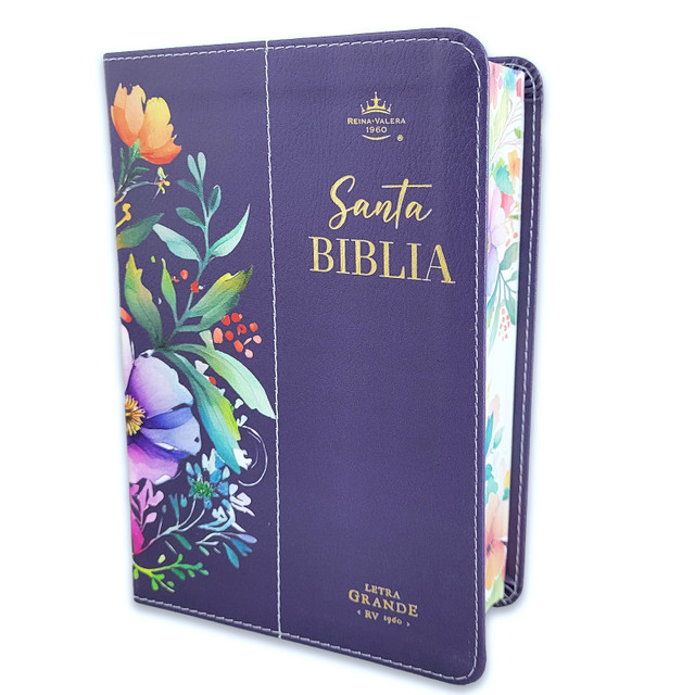 Biblia RVR60 Tamaño Manual Letra Grande con Canto Pintado