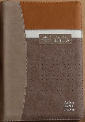 BIBLIA RVR60 088CZTI LSGI TECH DOT CAFE